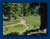 Trail to Scout Lake from
Pacific Crest Trail